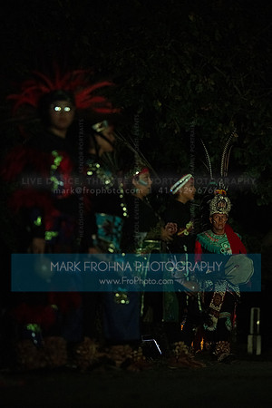 Wild Space Dance InSite Field Guide 2025-25