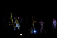 Wild Space Dance InSite Field Guide 2025-19