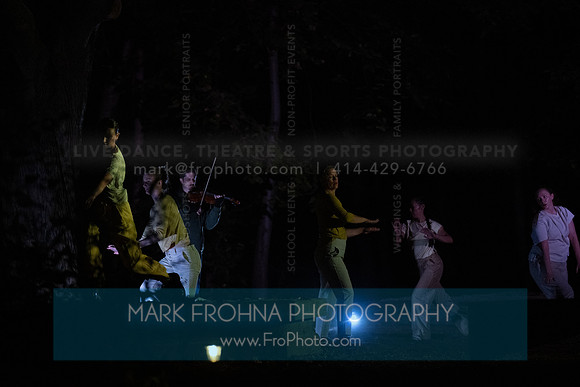 Wild Space Dance InSite Field Guide 2025-19