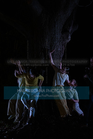 Wild Space Dance InSite Field Guide 2025-18