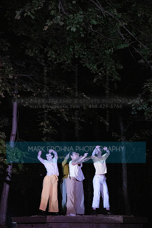 Wild Space Dance InSite Field Guide 2025-17