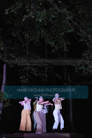 Wild Space Dance InSite Field Guide 2025-16