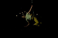Wild Space Dance InSite Field Guide 2025-13