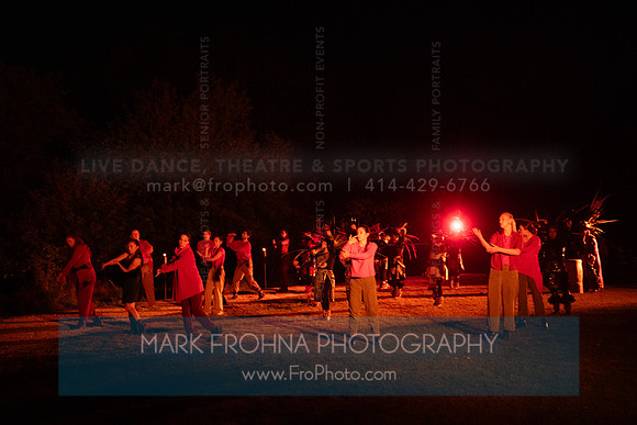 Wild Space Dance InSite Field Guide 2025-29