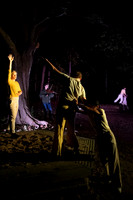 Wild Space Dance InSite Field Guide 2025-15