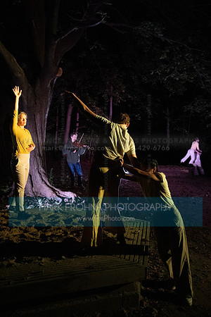 Wild Space Dance InSite Field Guide 2025-15