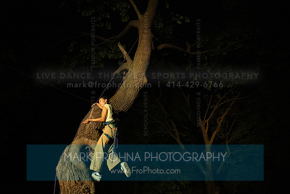 Wild Space Dance InSite Field Guide 2025-14