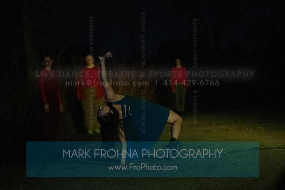 Wild Space Dance InSite Field Guide 2025-22
