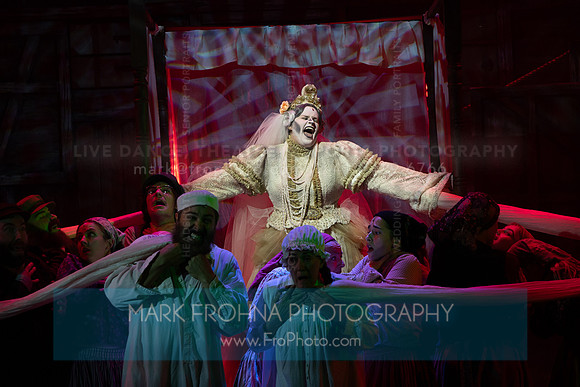 Skylight Fiddler on the Roof Selects-157