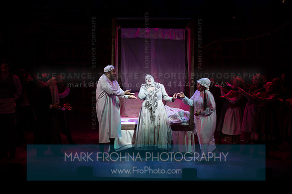 Skylight Fiddler on the Roof Selects-135