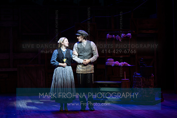 Skylight Fiddler on the Roof Selects-130