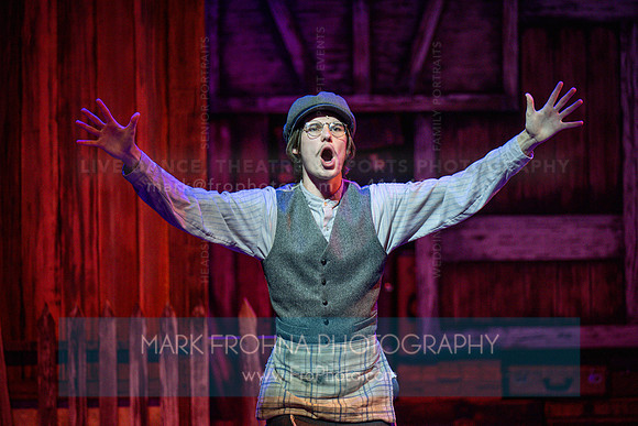 Skylight Fiddler on the Roof Selects-123