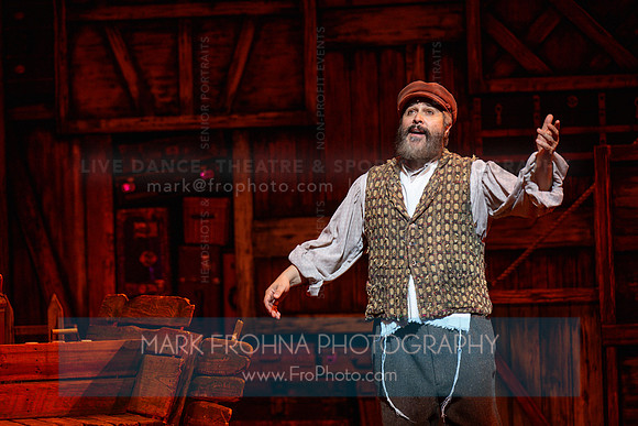 Skylight Fiddler on the Roof Selects-49