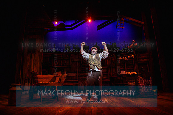 Skylight Fiddler on the Roof Selects-56