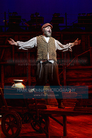 Skylight Fiddler on the Roof Selects-47