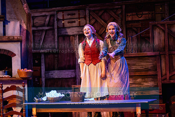 Skylight Fiddler on the Roof Selects-22