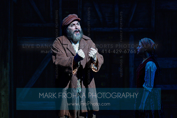 Skylight Fiddler on the Roof Selects-304
