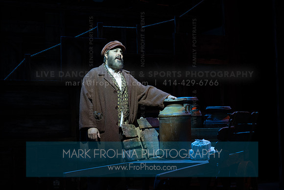 Skylight Fiddler on the Roof Selects-295