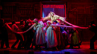 Skylight Fiddler on the Roof Selects-163-2