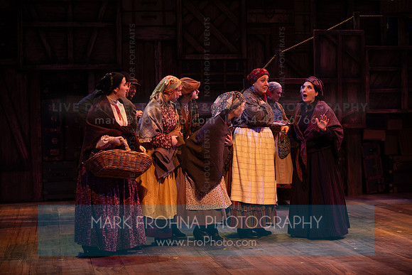 Skylight Fiddler on the Roof Selects-262-2