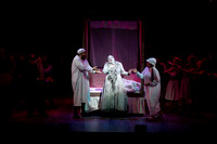 Skylight Fiddler on the Roof Selects-135-2
