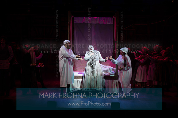 Skylight Fiddler on the Roof Selects-135-2