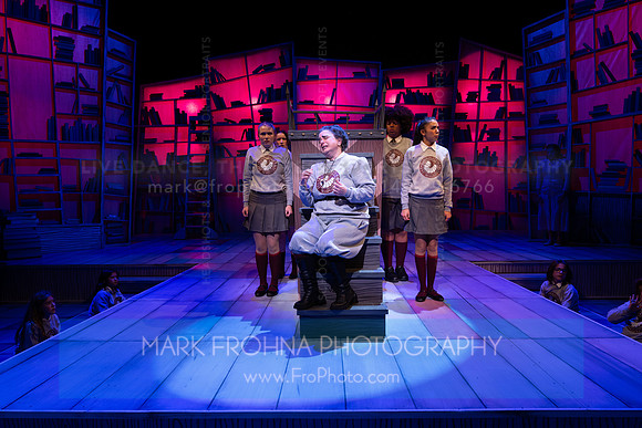 CTM Matilda Darrell-41