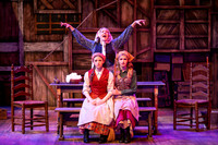 Skylight Fiddler on the Roof Selects-28-2