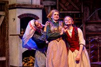 Skylight Fiddler on the Roof Selects-26-2