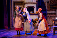 Skylight Fiddler on the Roof Selects-25-2