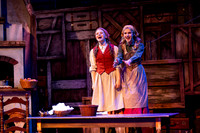 Skylight Fiddler on the Roof Selects-22-2