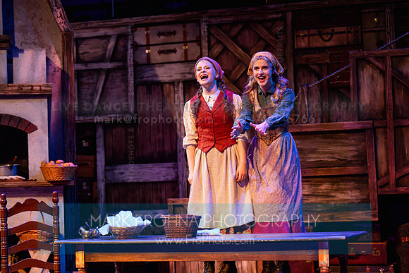 Skylight Fiddler on the Roof Selects-22-2