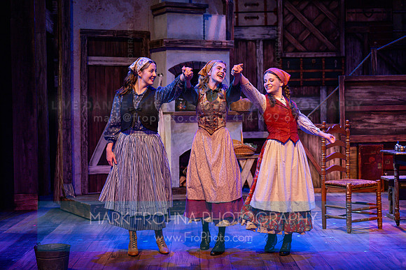 Skylight Fiddler on the Roof Selects-21-2