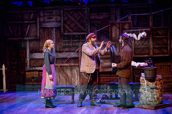 Skylight Fiddler on the Roof Selects-245-2