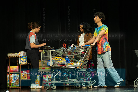 Hamilton Paper or Plastic Highlights-12