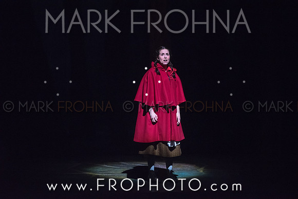 Skylight Into the Woods Preview-13