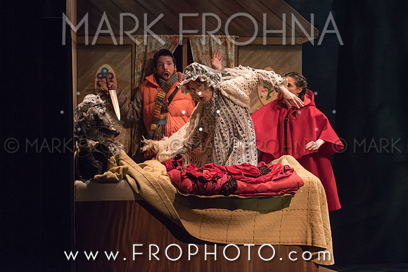 Skylight Into the Woods Preview-12