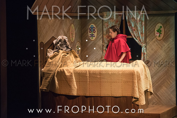 Skylight Into the Woods Preview-11