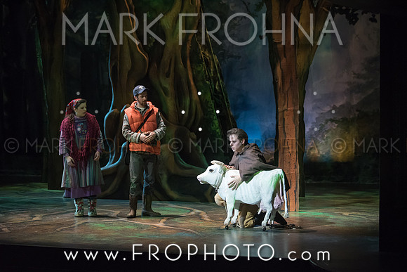 Skylight Into the Woods Preview-10