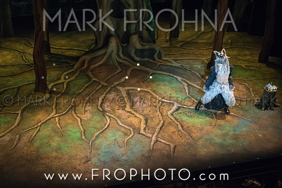 Skylight Into the Woods Preview-9