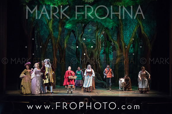Skylight Into the Woods Preview-8