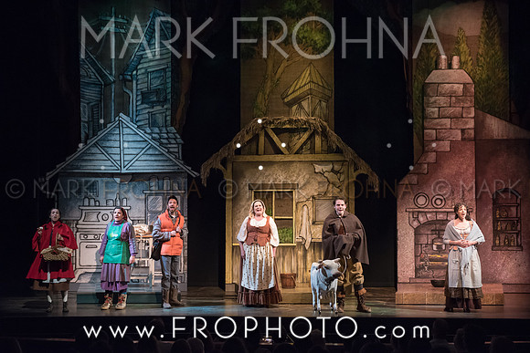 Skylight Into the Woods Preview-7