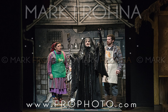 Skylight Into the Woods Preview-6