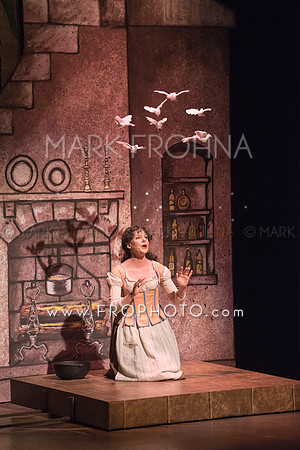Skylight Into the Woods Preview-2