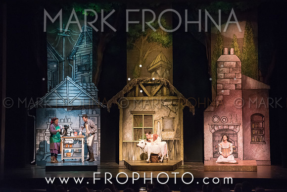 Skylight Into the Woods Preview-1
