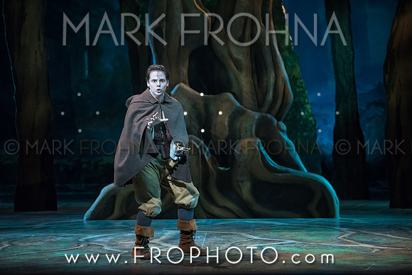 Skylight Into the Woods Preview-20