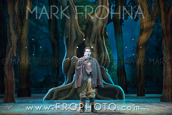 Skylight Into the Woods Preview-19