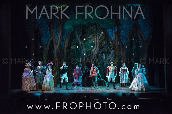 Skylight Into the Woods Preview-18