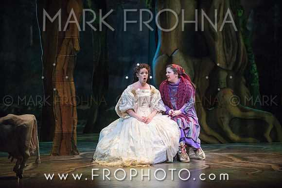 Skylight Into the Woods Preview-17