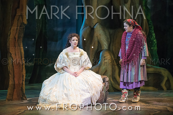 Skylight Into the Woods Preview-16